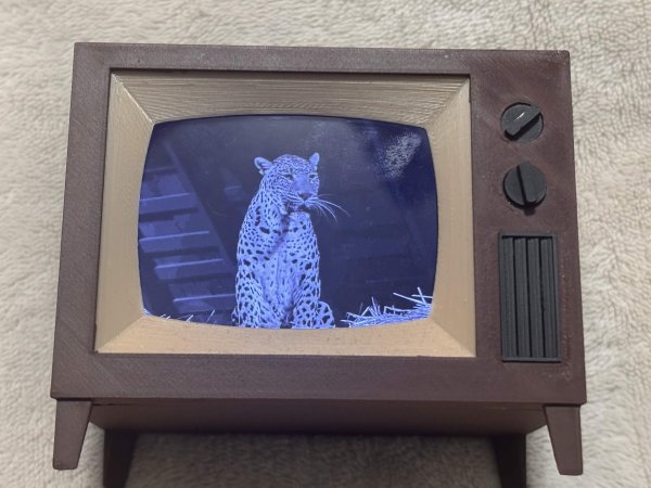 tinytv2